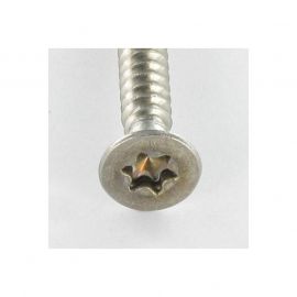 Stainless Steel A2 Metal Screw 4.2*13mm Torx Countersunk Flat Head A2TTFP4213 H2O Sensations