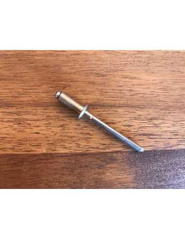 Stainless Steel Rivet 4.8*20mm