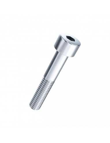 Vis Metrique Inox A4 M6 60mm Torx Tête Cylindrique