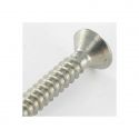 Stainless Steel A2 Metal Screw 4.2*32mm Torx Countersunk Flat Head A2TTFP4232 H2O Sensations