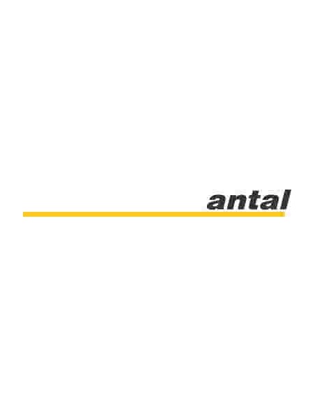 Antal