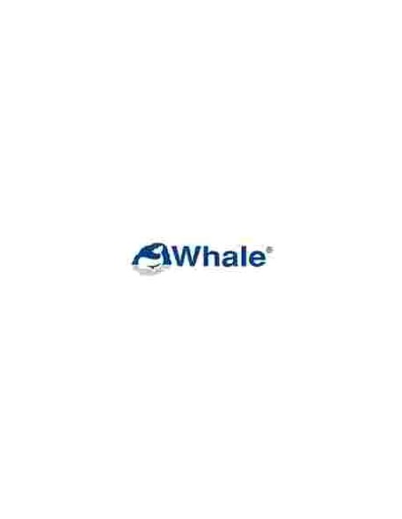 Whale